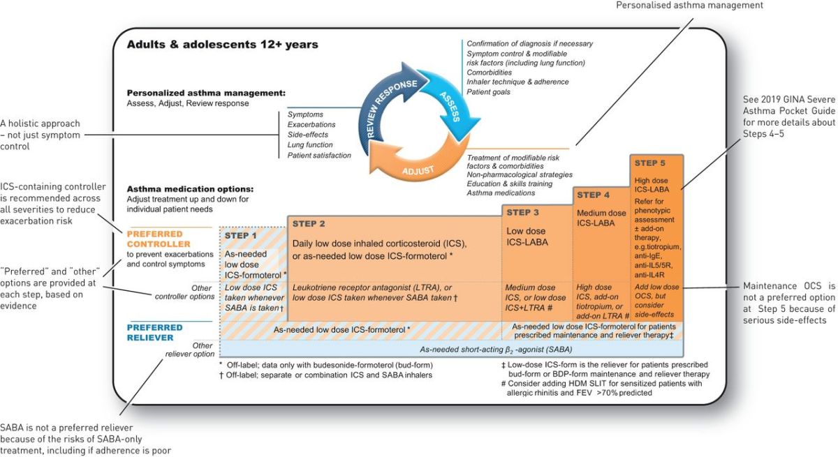 How are we managing Asthma in&nbsp;2019?
