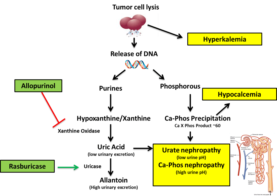 How do you approach&nbsp;TLS?